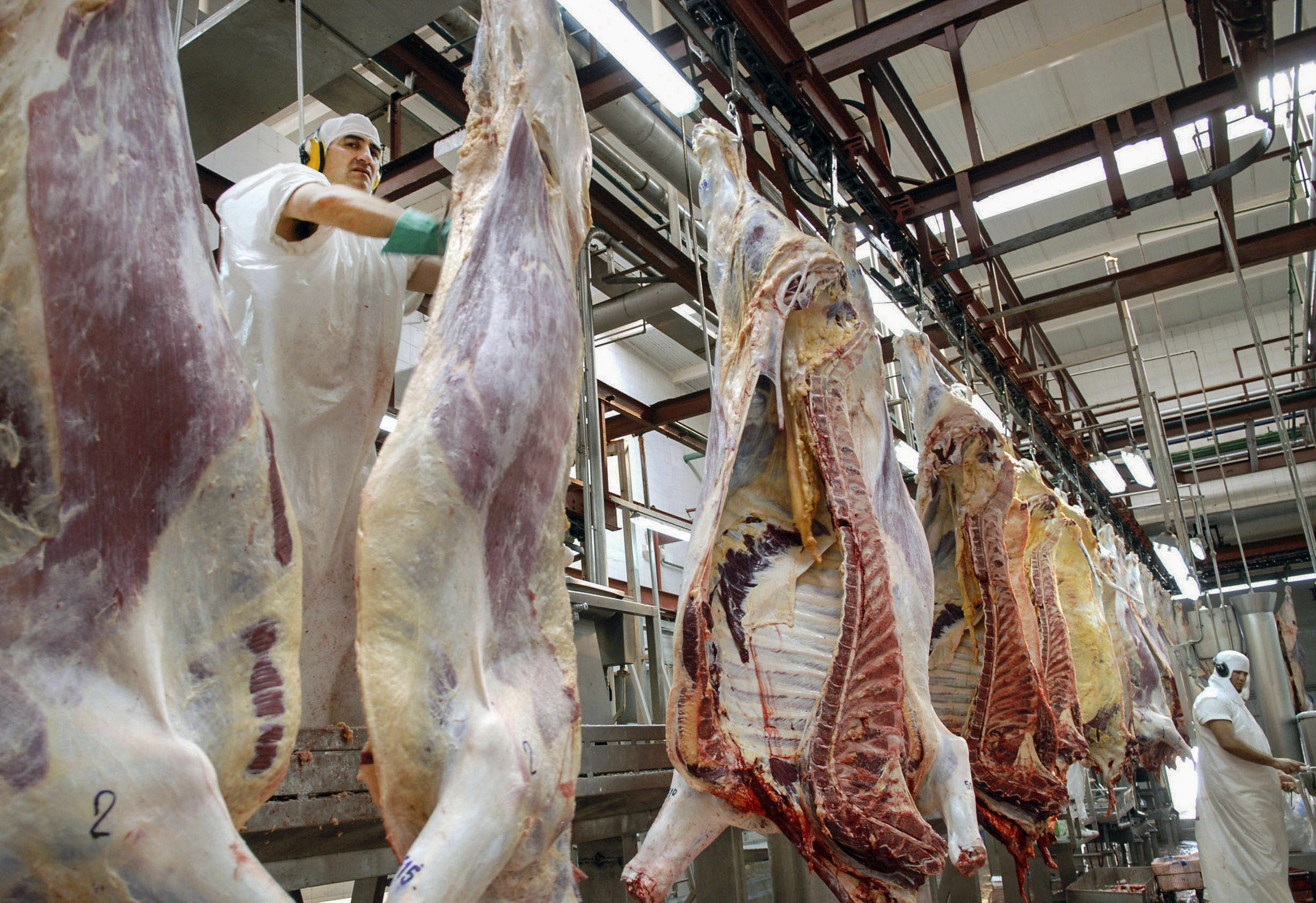 Carne vacuna