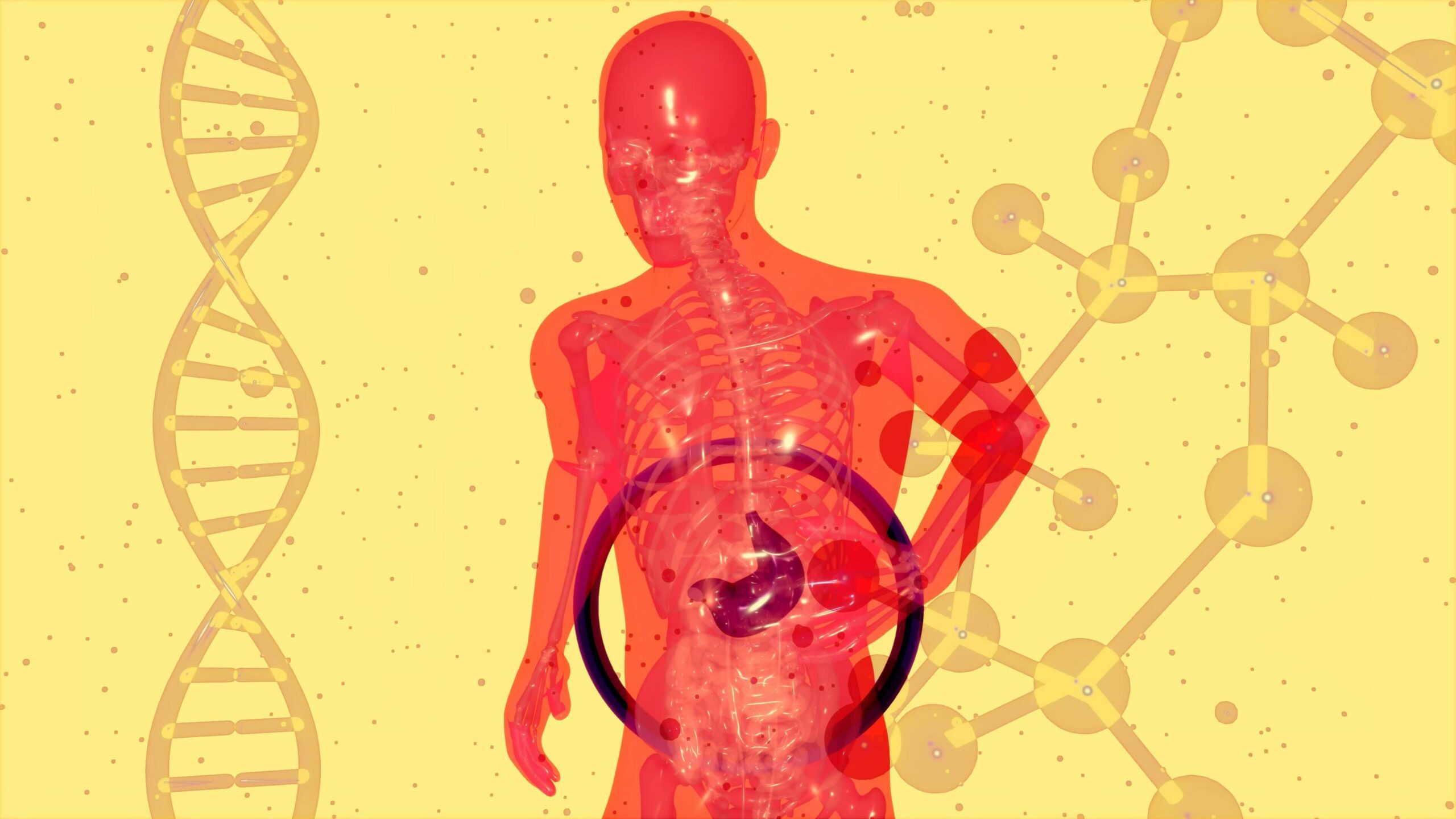 Tips para mejorar tu salud digestiva